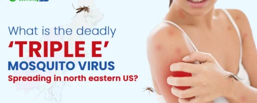 What is The Deadly ‘Triple E’ Mosquito Virus Spreading in North Eastern US?